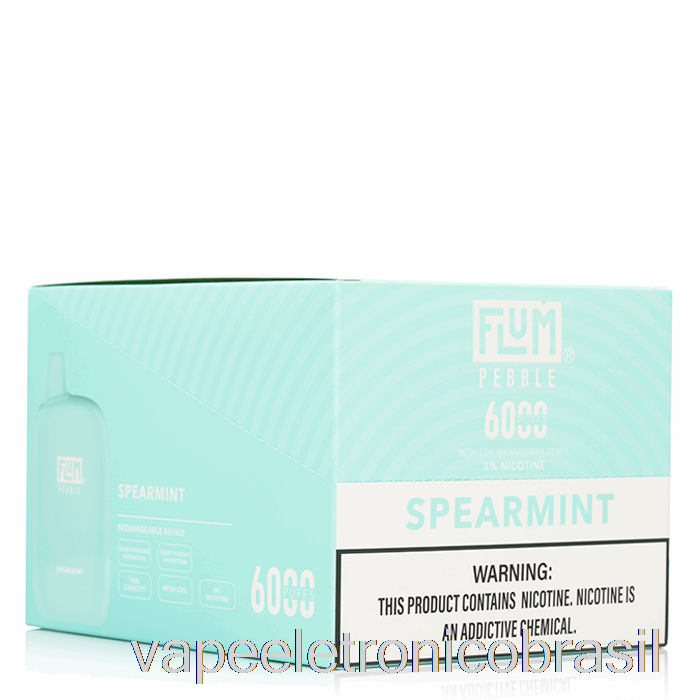 Vape Recarregável [pacote Com 10] Flum Pebble 6000 Descartável